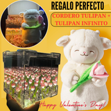 PELUCHE CORDERITO TULIPAN + TULIPAN INFINITO CAJA DE REGALO